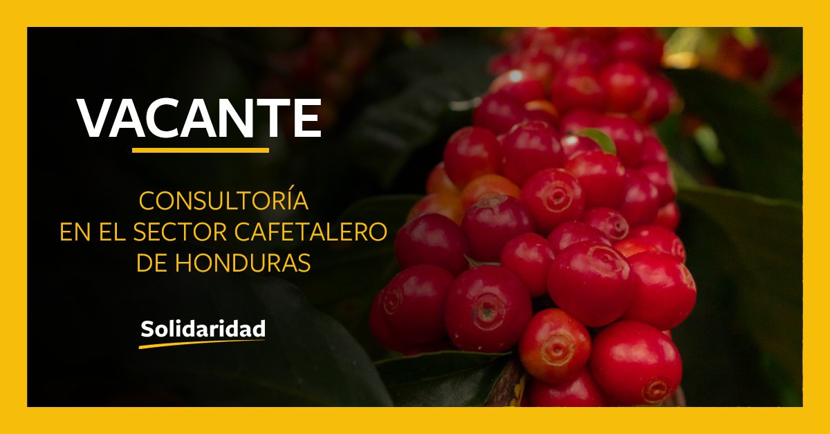 HONDURAS | Solidaridad Network está en la búsqueda de un(a) profesional o empresa con experiencia en el desarrollo de metodologías de abordaje participativo en el sector café. ➡️ Más detalles y requisitos: lnkd.in/gGVrbVS
#job #vacante #honduras #consultoría #café #coffee
