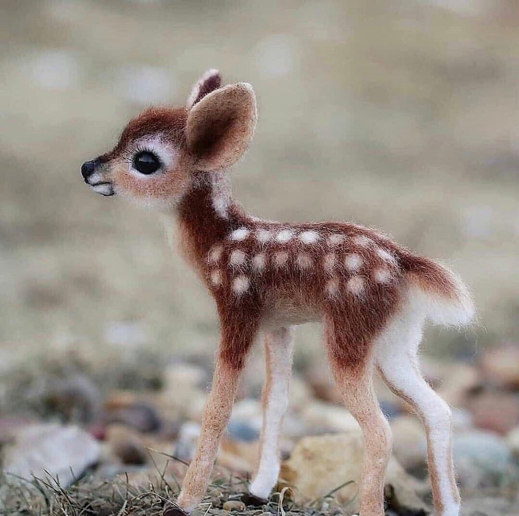 أأنتُمْ تَخلقُونَهُ أَم نَحنُ الخَالِقُونَ "    ♥♥