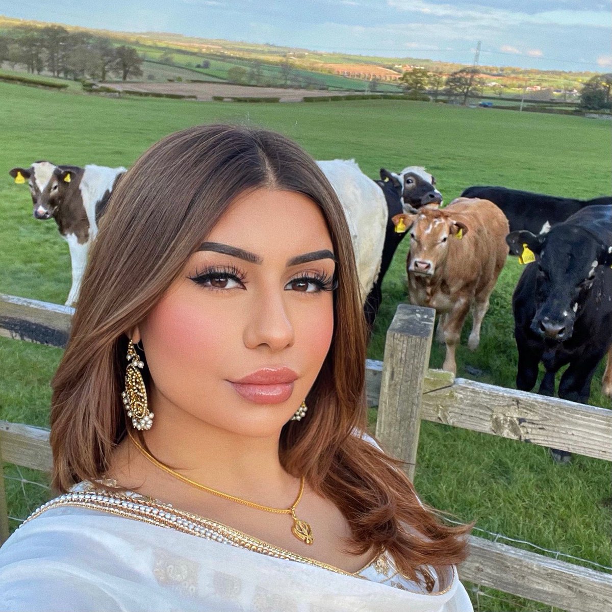 MiyaMo7717's tweet image. Getting ready for the #bitcoin bull market like 🤑