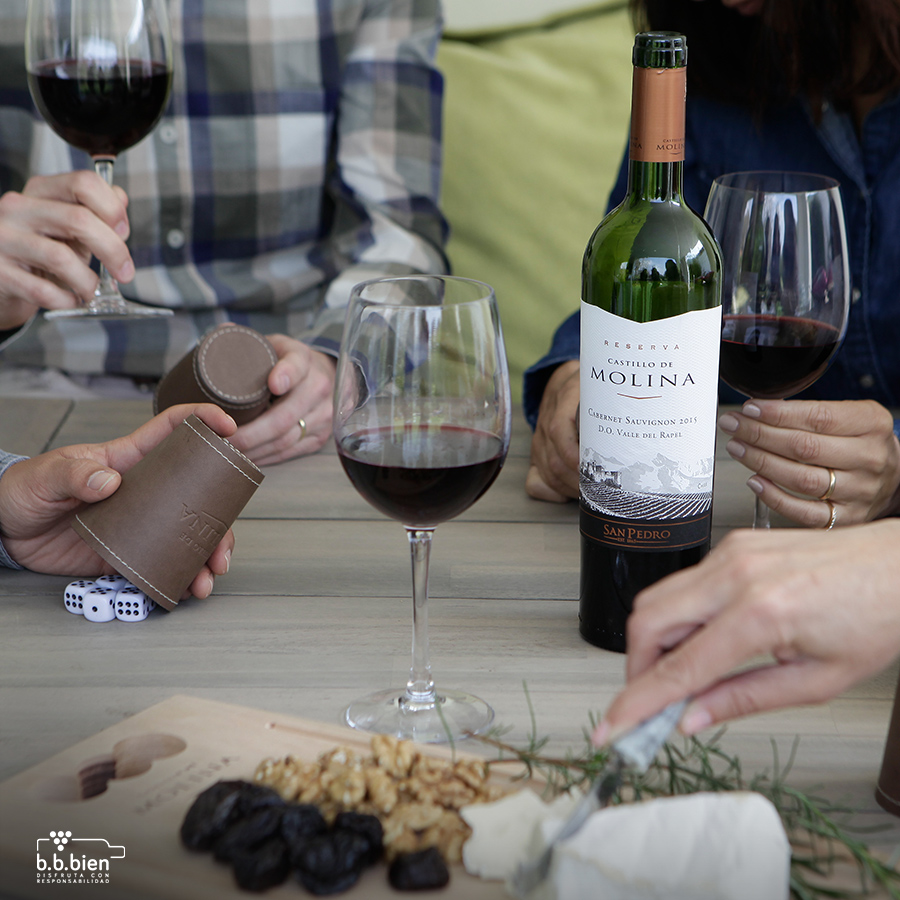 ¡Hay tantas familias distintas! Y con #CastilloDeMolina las celebramos a todas 🍷 Disfrutemos el aquí y el ahora, desconectándonos de los problemas y manteniendo los lazos fuertes con quienes nos rodean. #FelizMesDeLaFamilia