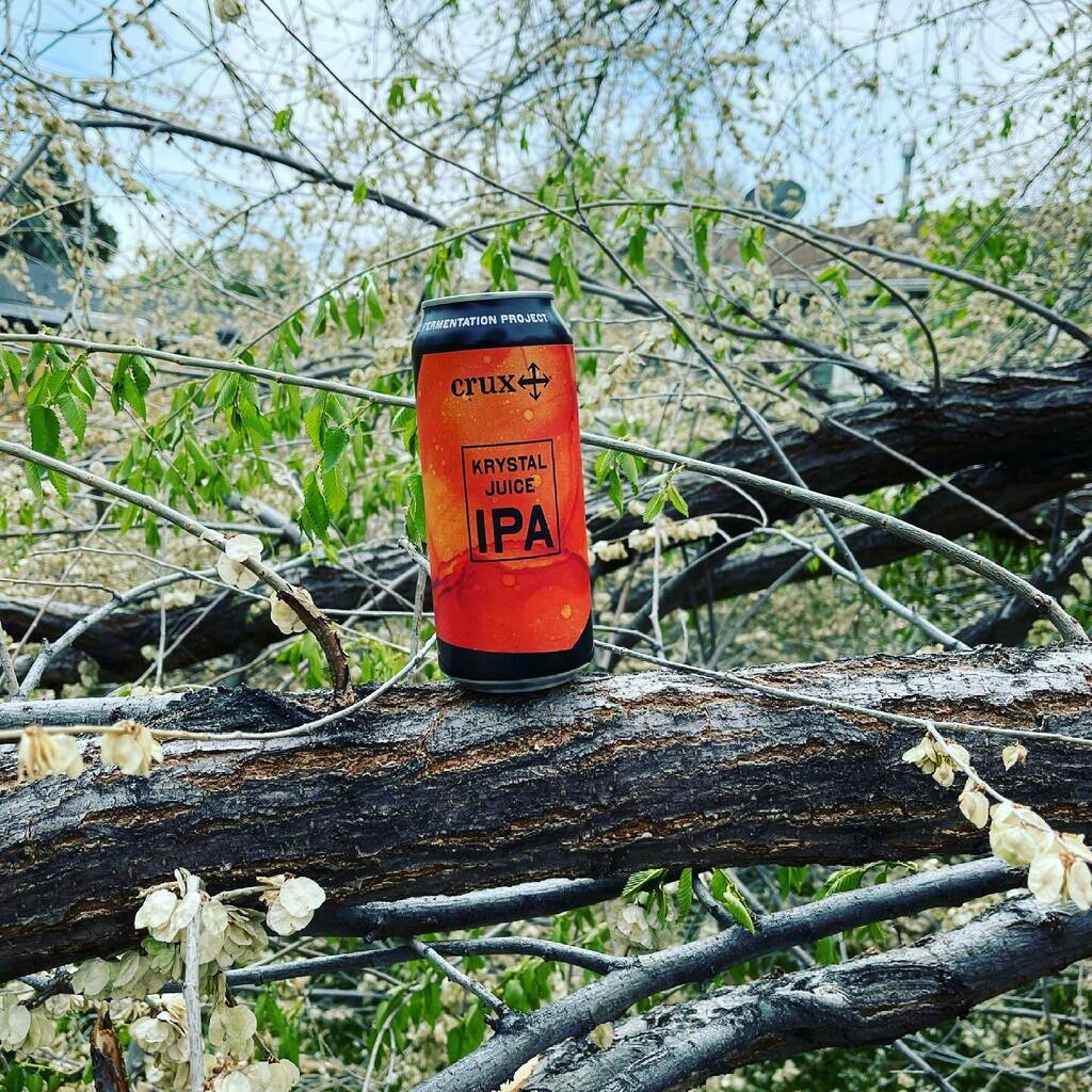 What a weird week! Big wind storm came through town and promptly blew two neighbor trees over onto the house. 

Found that the @cruxfermentationproject Krystal Juice IPA goes well with cutting through debris and mending broken gates. Another West Coast s… instagr.am/p/COvoxBRHxLK/