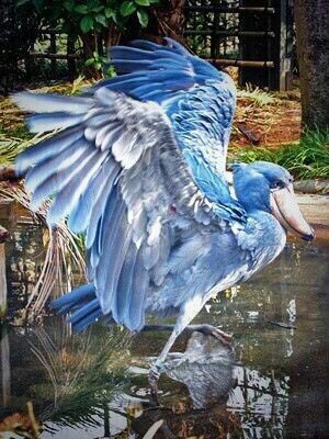 *✧•.•✧*  Sophie  *✧•.•✧*

.•✧* 𝘍𝘳𝘪𝘦𝘯𝘥𝘭𝘺 𝘸𝘳𝘪𝘵𝘦𝘳
.•✧* 𝘚𝘩𝘪𝘱𝘴 𝘸𝘪𝘵𝘩 < Chem >
.•✧* 𝘔𝘶𝘭𝘵𝘪𝘷𝘦𝘳𝘴𝘦 𝘧𝘳𝘪𝘦𝘯𝘥𝘭𝘺
.•✧* Adult Themes in DMs
.•✧* 𝘞𝘳𝘪𝘵𝘦𝘳 𝘪𝘴 21 𝘺𝘳𝘴 𝘰𝘭𝘥!
.•✧* 4+ 𝘸𝘳𝘪𝘵𝘪𝘯𝘨 𝘦𝘹𝘱.

.•✧* ¿ ❤️&amp;🔁  ? *✧•.