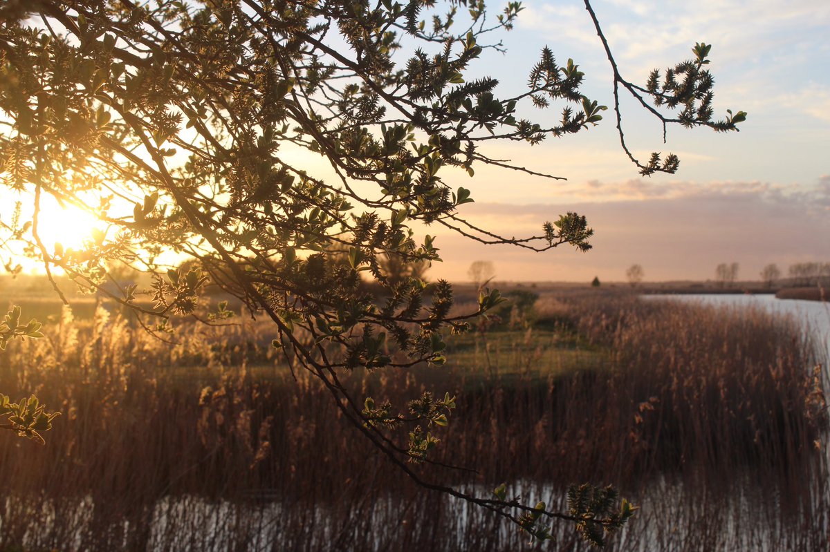 Mi55_Anna's tweet photo. #sunset #Norfolk #hardley #eveningwalk #Countryside https://t.co/ARwG8Pnrhb