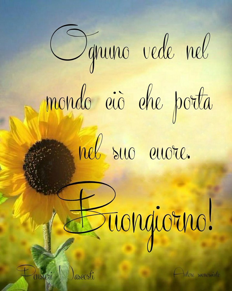 Seranti76's tweet photo. @MariaRo99325323 , GT, 5,t,5 https://t.co/MbaX1r5gm8