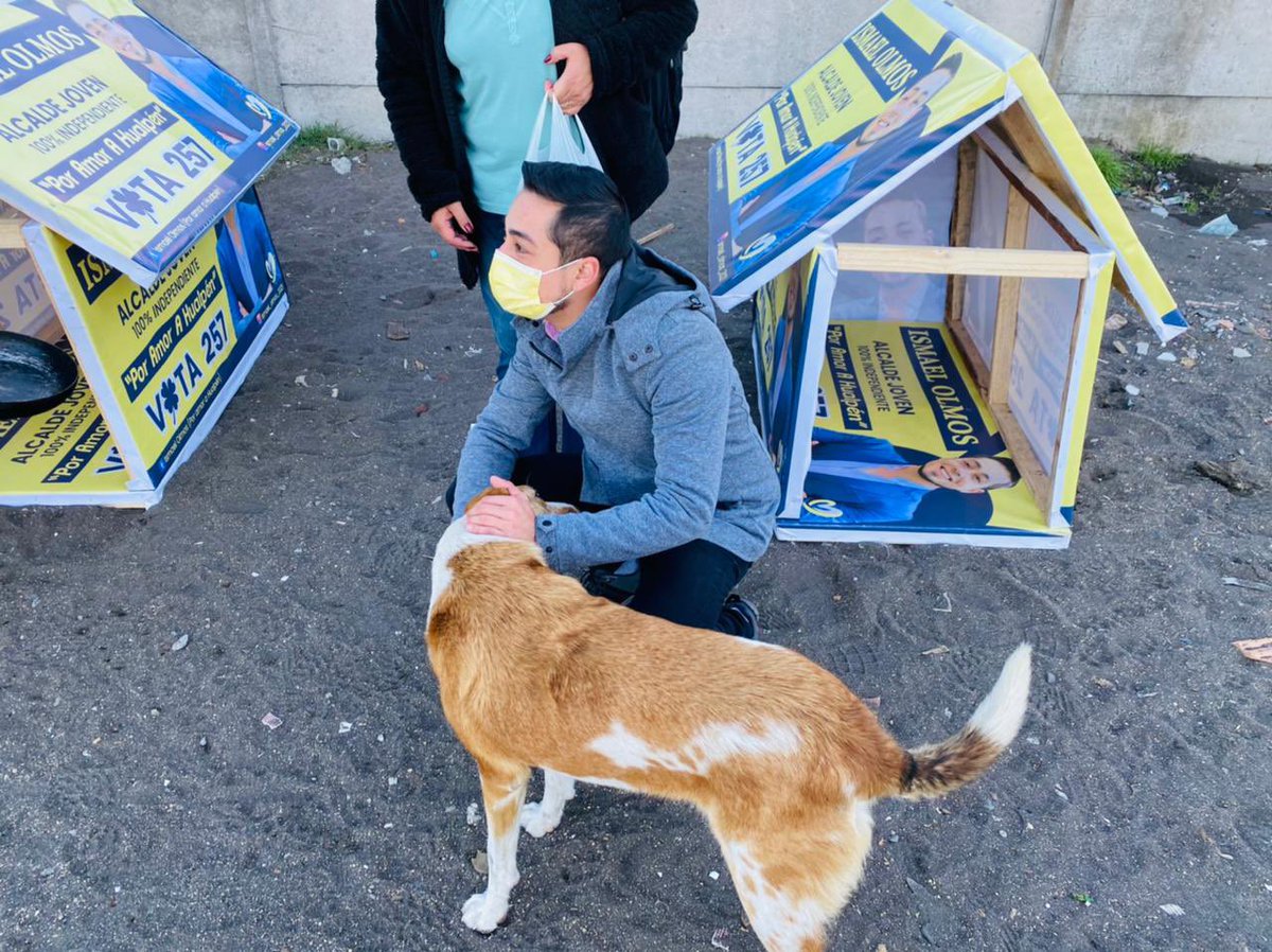 Olmos2021's tweet photo. Gracia a ideas de grupos #Animalistas de #Hualpén construimos casas para mascotas con propaganda destruida🐶🐱🐕🐈 Un hermosos gesto a los considerados nuestros #HermanosMenores🐶🐱

#PorAmorAHualpén transformamos odiosidades en hermosos regalos.

#Vota257🗳 @Olmos2021💛🍀 https://t.co/LCDjDcB9VJ