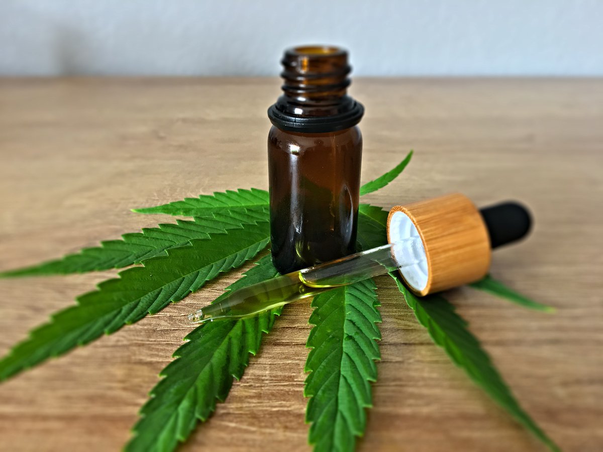 CarnineKeith's tweet photo. Is CBD oil better than gel capsules? Should everybody start with CBD edibles? Read about the advantages and disadvantages of these incredible products in this blog:

https://t.co/5rsqTkkP2E https://t.co/78YIDeO7YR