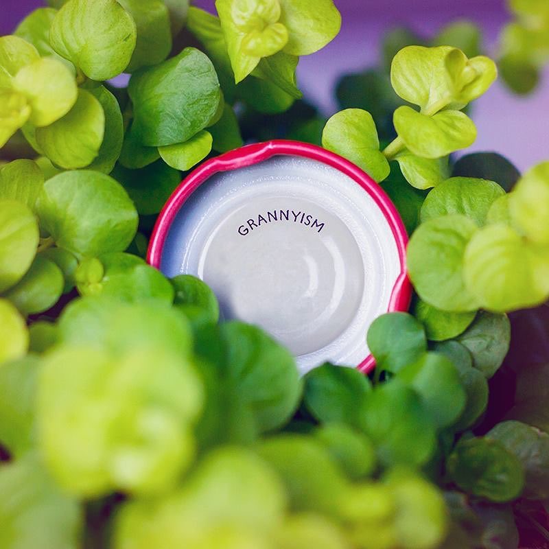 Throwback to vintage #SweetLeafTea... what was your favorite Grannyism?