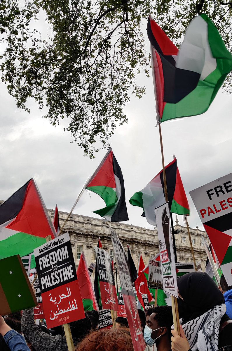 shkmhr's tweet photo. #FreePalestine #SaveSheikhJarrah #SaveAlAqsa https://t.co/1PSDjcz50I