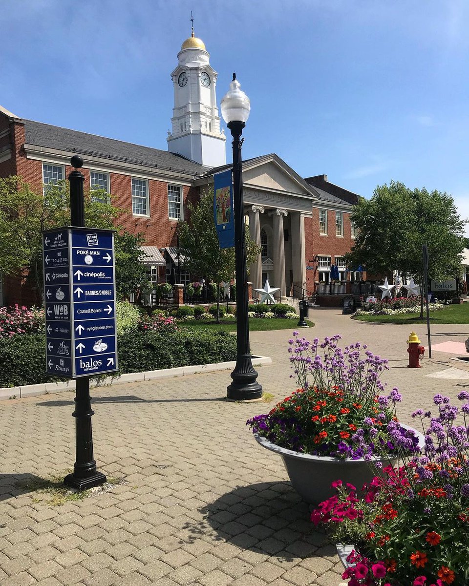 Blue Back Square tweet media