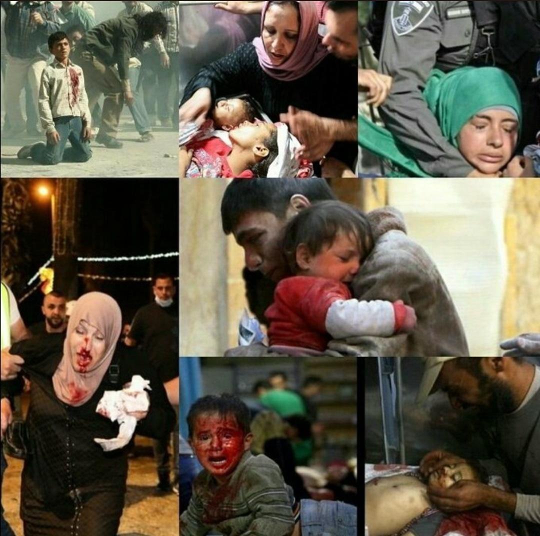 Direnen Filistin halkının yanındayız!!!

#israeliterrorism
#FreePalestine