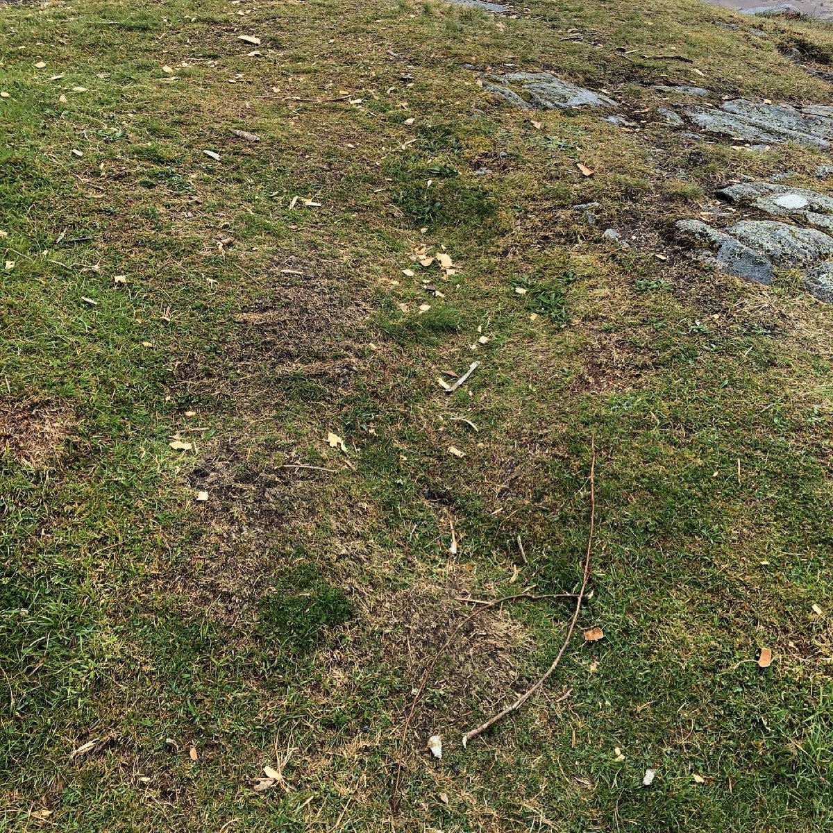 PamJFraser's tweet photo. Upsetting scenes at Loch Doon today. If it’s good enough to visit it’s good enough not to spoil. #monumentmonitor https://t.co/GWoFxGYdD6