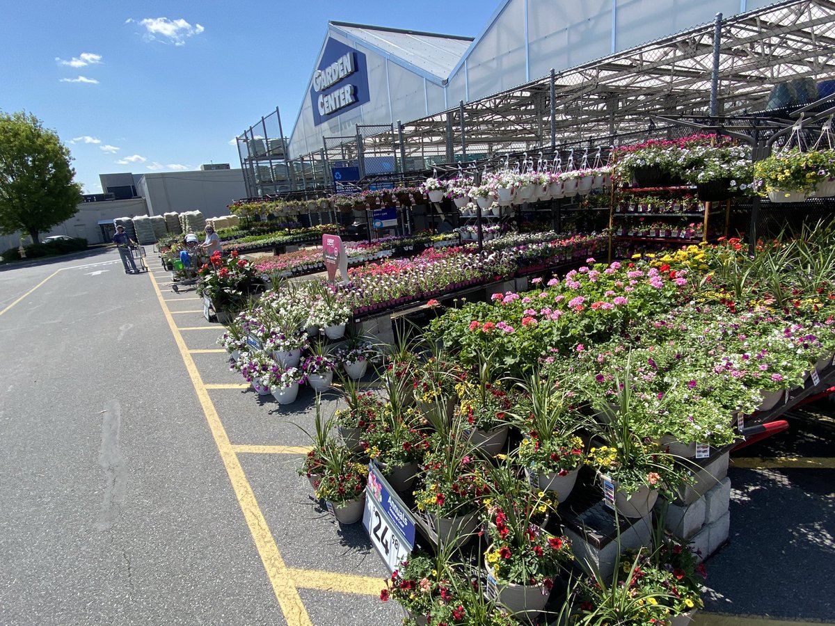 Jill Guth tweet media