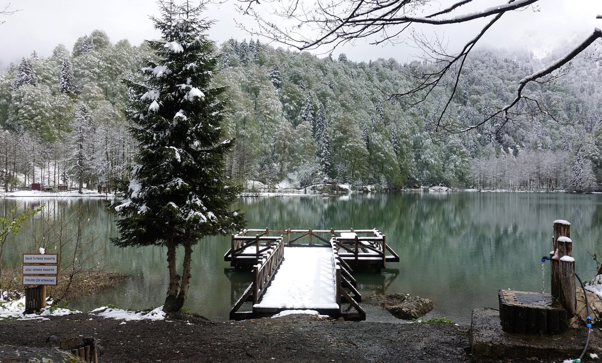 milliyet's tweet photo. ❄️ Doğa harikası Borçka Karagöl mayısta yağan karla beyaza büründü https://t.co/U17g6wsFod