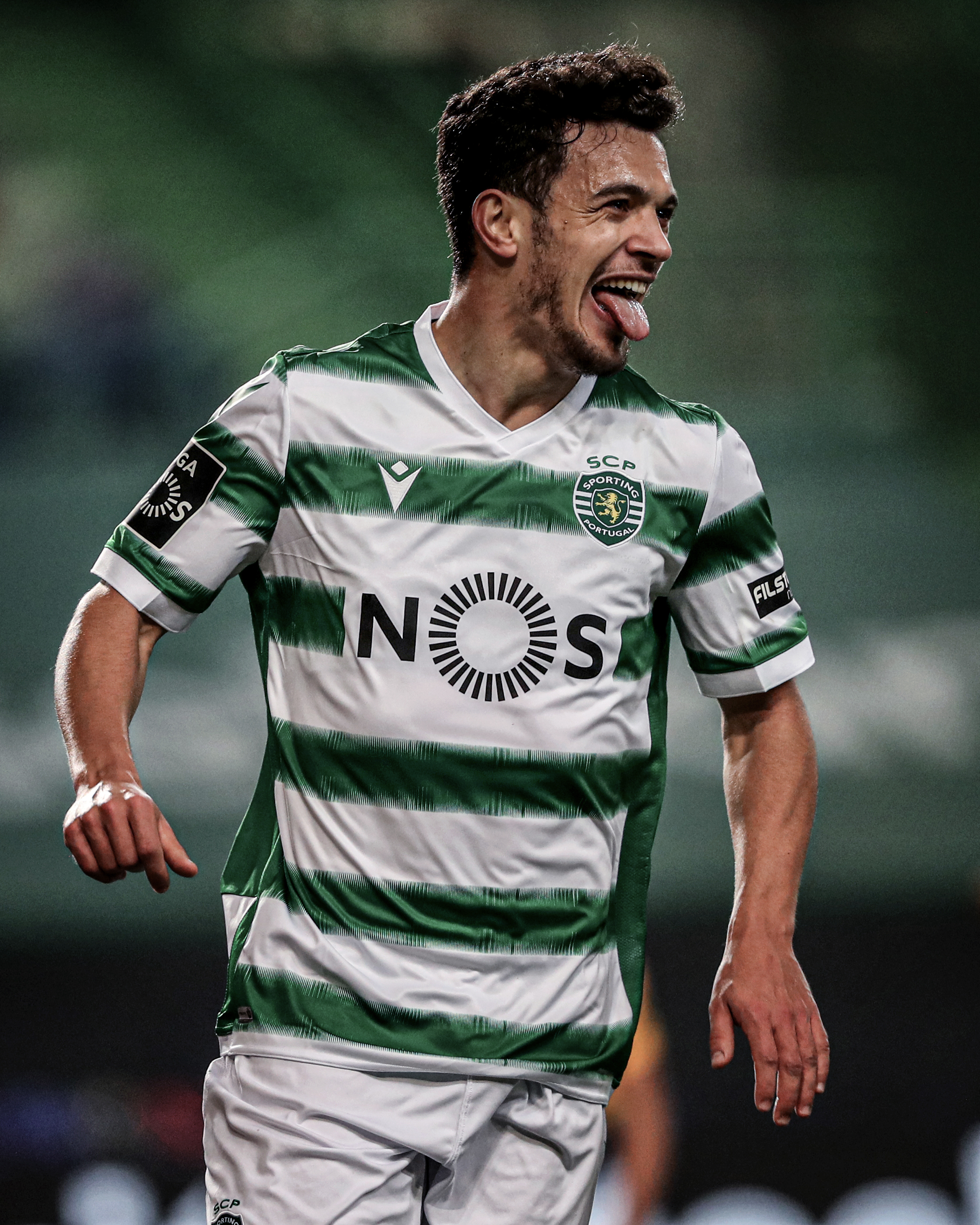 Seis clubes na lista: Champions deixa brindes para o Sporting - Sporting -  Jornal Record