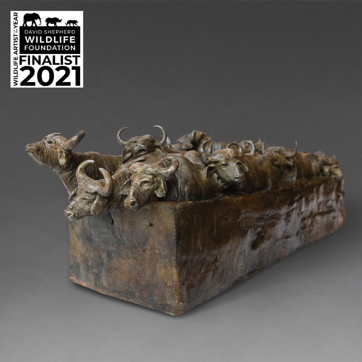 Rosamond Lloyd tweet media