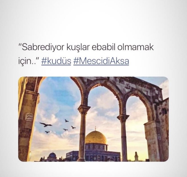 Ⓜ️Ⓜ️ TUFAN DOĞAN (@tufanslcdogan) on Twitter photo 