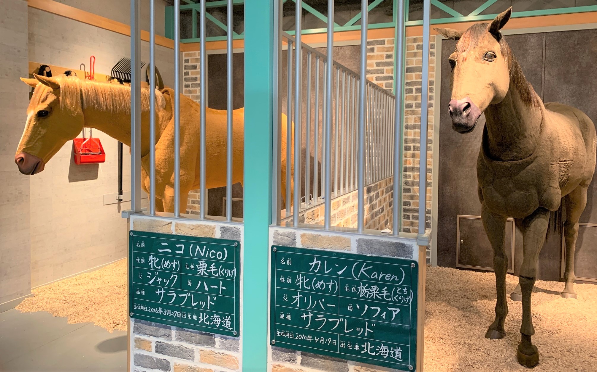 キッザニア甲子園【公式】 on X: 