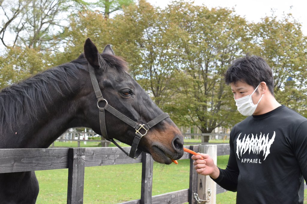 久保 昌弘 S Tweet 馬に人参を食べさせる昼 今年30歳になるらしいけどめっちゃ走って人参食べにきました 元気です ウイニングチケット 競馬 日本ダービー 引退馬 浦河 マリオンアパレル マリアパ Marrionapparel Trendsmap 久保 昌弘 S Tweet 馬に人参を食べさせる昼 今年30歳になるらしいけどめっちゃ走って人参食べにきました 元気です ウイニングチケット 競馬 日本ダービー 引退馬 浦河 マリオンアパレル マリアパ Marrionapparel Trendsmap