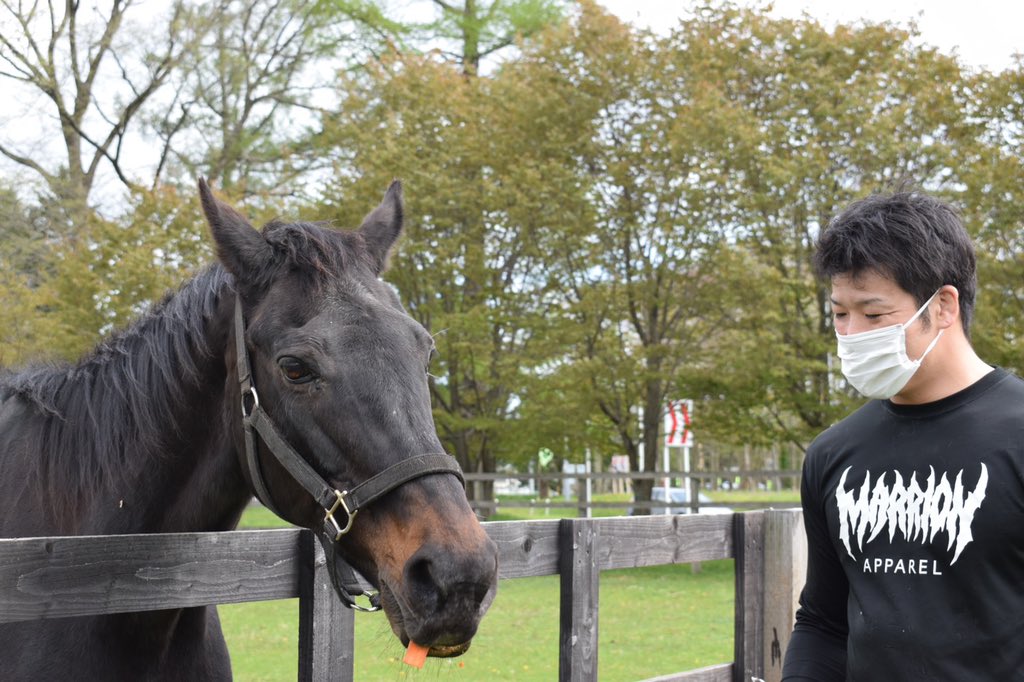 久保 昌弘 S Tweet 馬に人参を食べさせる昼 今年30歳になるらしいけどめっちゃ走って人参食べにきました 元気です ウイニングチケット 競馬 日本ダービー 引退馬 浦河 マリオンアパレル マリアパ Marrionapparel Trendsmap 久保 昌弘 S Tweet 馬に人参を食べさせる昼 今年30歳になるらしいけどめっちゃ走って人参食べにきました 元気です ウイニングチケット 競馬 日本ダービー 引退馬 浦河 マリオンアパレル マリアパ Marrionapparel Trendsmap