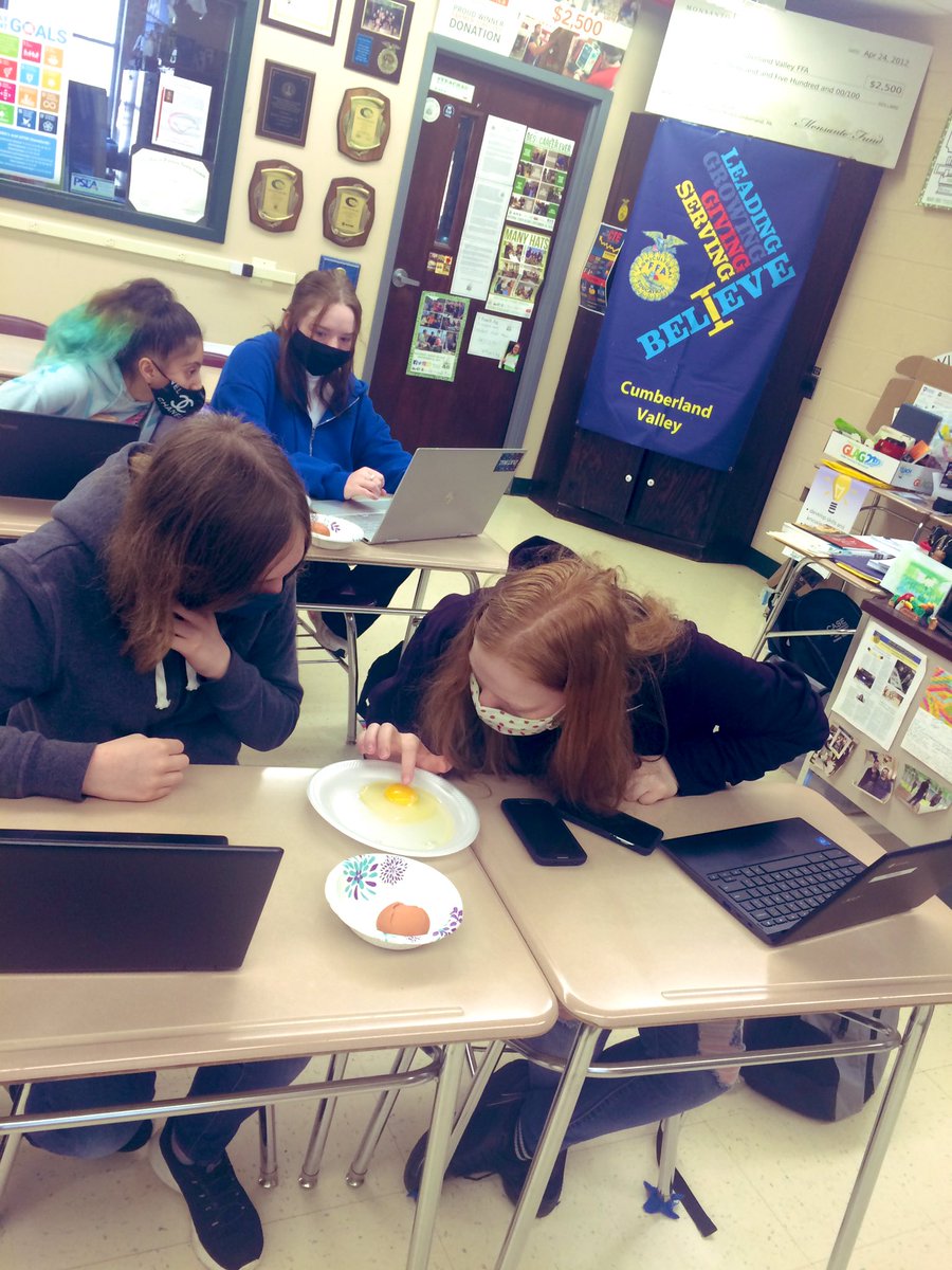 DJR_131's tweet photo. The eggs have it! 🥚🥚🥚 Wrapping up the Animal Science Unit in #IntroToAg by candling eggs and viewing interior quality with the breakout method! #TeachAg #LearnByDoing https://t.co/smM6lMq6gr