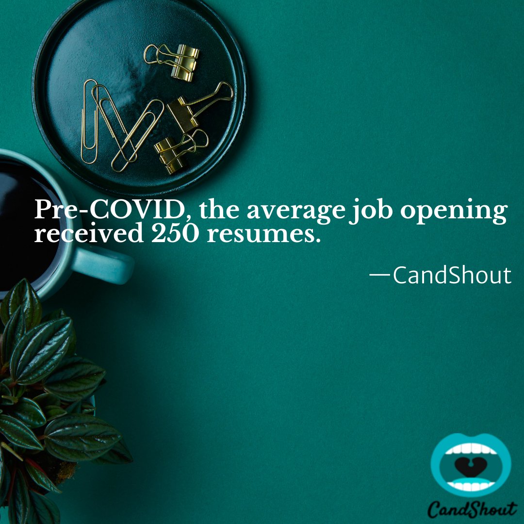 candshoutapp's tweet photo. We think this Glassdoor stat has doubled since COVID-19. We're crowdfunding to amplify the voices of frustrated job seekers. Join our 18 funders today to support our campaign! https://t.co/zvtTnHCV65 #JobsReport #workforce #jobseekers #crowdfund https://t.co/3zLFQu6a9E