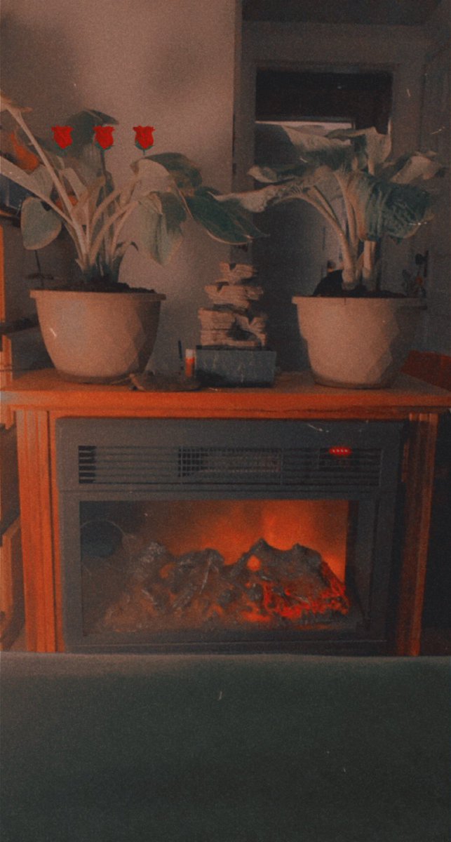 TrexTesticle's tweet image. My room is so Zen 😭✨