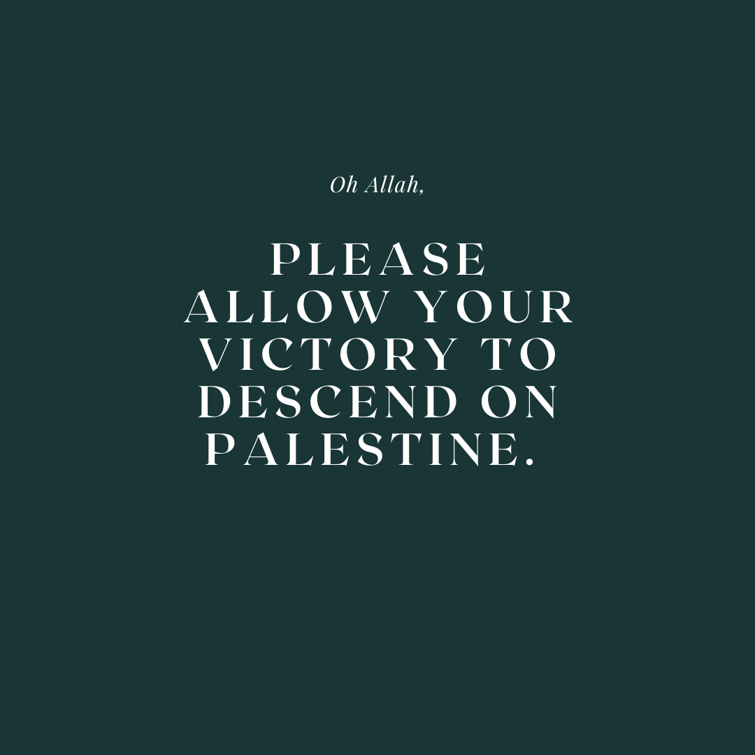 shefaahsan's tweet photo. DUAS FOR PALESTINE //

#FreePalestine #SaveSheikhJarrah https://t.co/rVfWfd6AJ2
