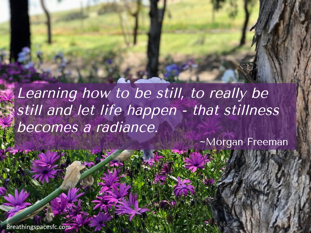 cyndibreathing's tweet image. Be still... and don&apos;t forget to breathe. #stillness #creatingcalm #findingclarity #mindfulness #breathing #mindfulbreathing