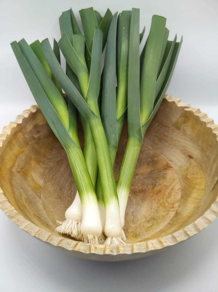 Experimenting with some product photo techniques to go along with different crop choices as we make our way to commercial production.