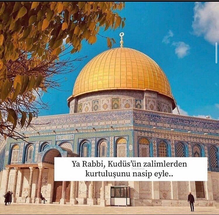 taha yıldız (@tahayld35702220) on Twitter photo 