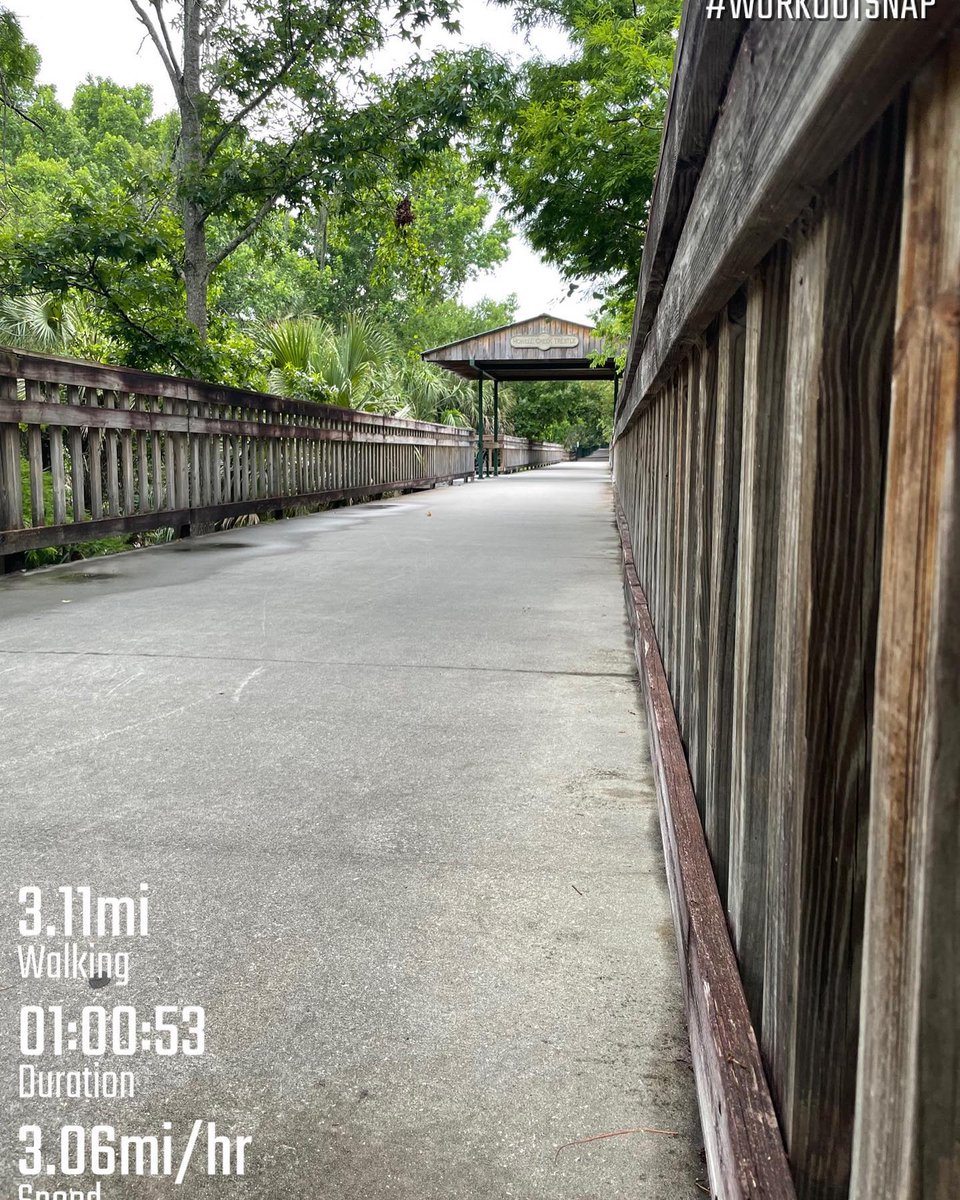 Jodicab22's tweet photo. Let’s be honest, it’s fat girl summer! ❤️🤣 All I like to do is walk and listen to loud music so I’m just going to stick to this for awhile. That selfie is how I feel about the humidity 🤣 

#funeralformyfat #fatgirlsummer…

📸 https://t.co/RHuEjePzDk via https://t.co/5ttQiDWlXB https://t.co/P8i6LZpc7g