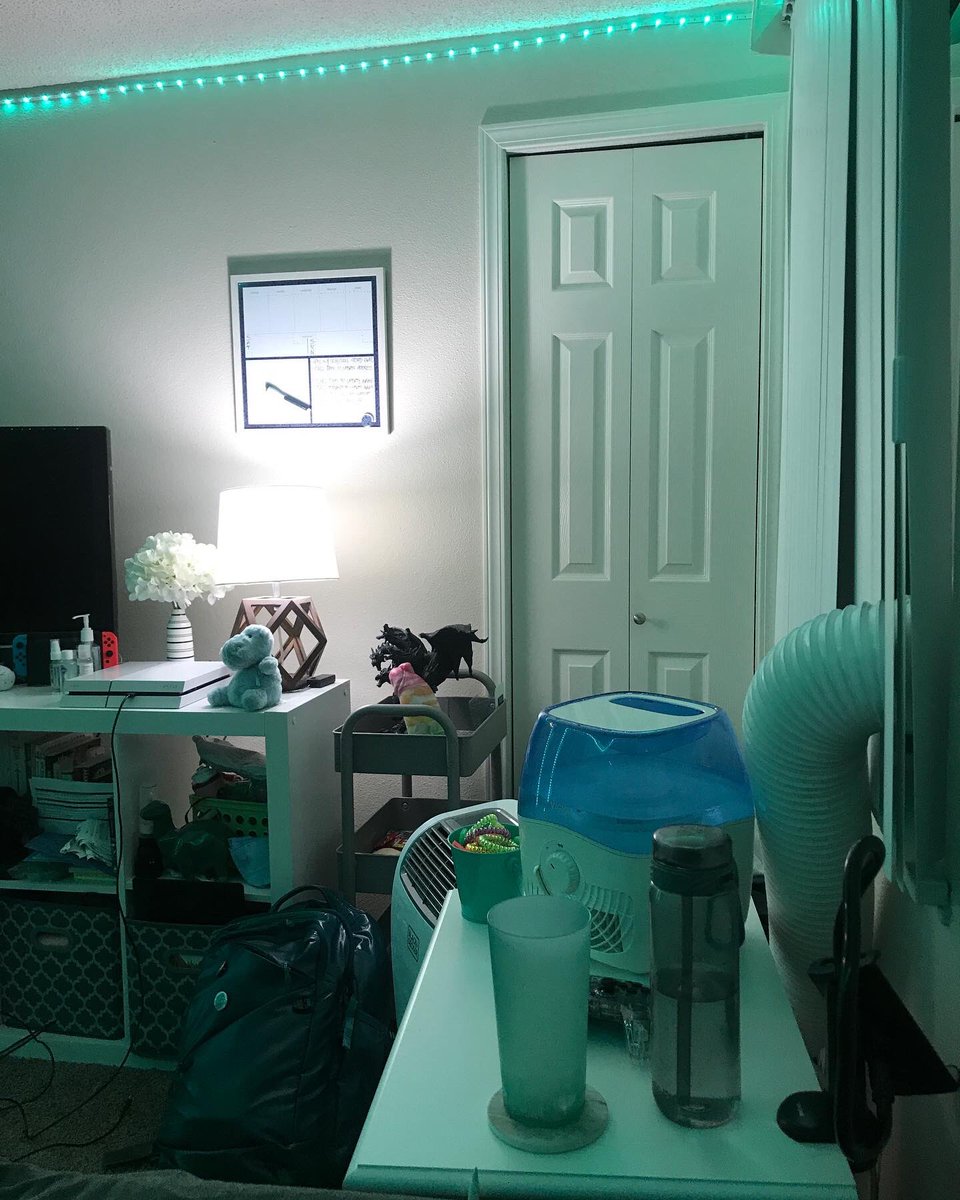 dustingoffdusty's tweet photo. These vibes are 
✨ i m m a c u l a t e ✨ 

#bedroomdecor #teal #turquoise #ledlights #cozy #bedroom #transpride #squishmallows #relaxing #relaxingvibes #softaesthetic https://t.co/JkFzAJNwN4