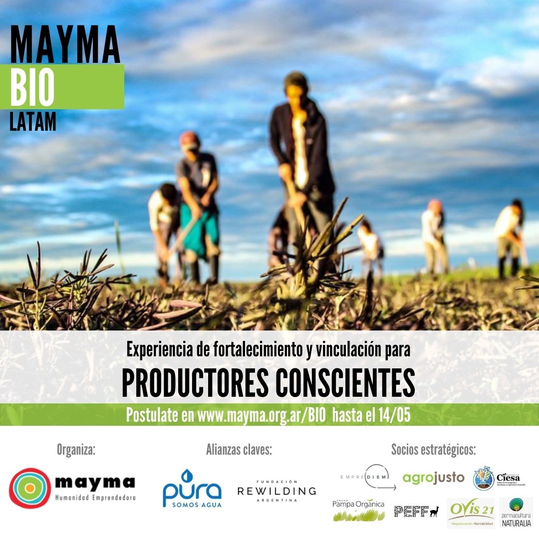 Mayma. Humanidad Emprendedora tweet media