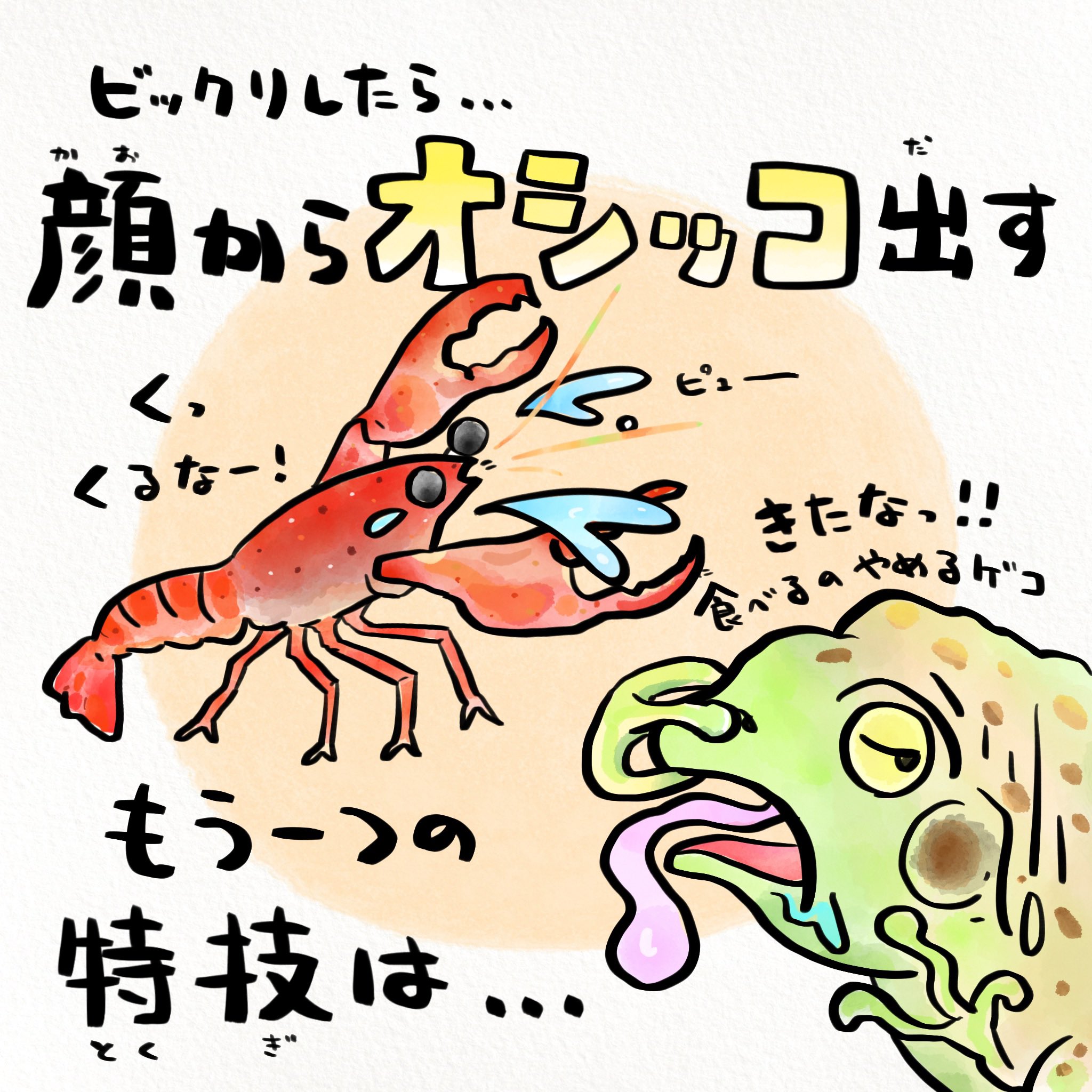さかなのおにいさん かわちゃん 今日は ザリガニの日 元々アメリカザリガニは食用カエルのエサとしてやってきました T Co Txbbscxrjf Twitter