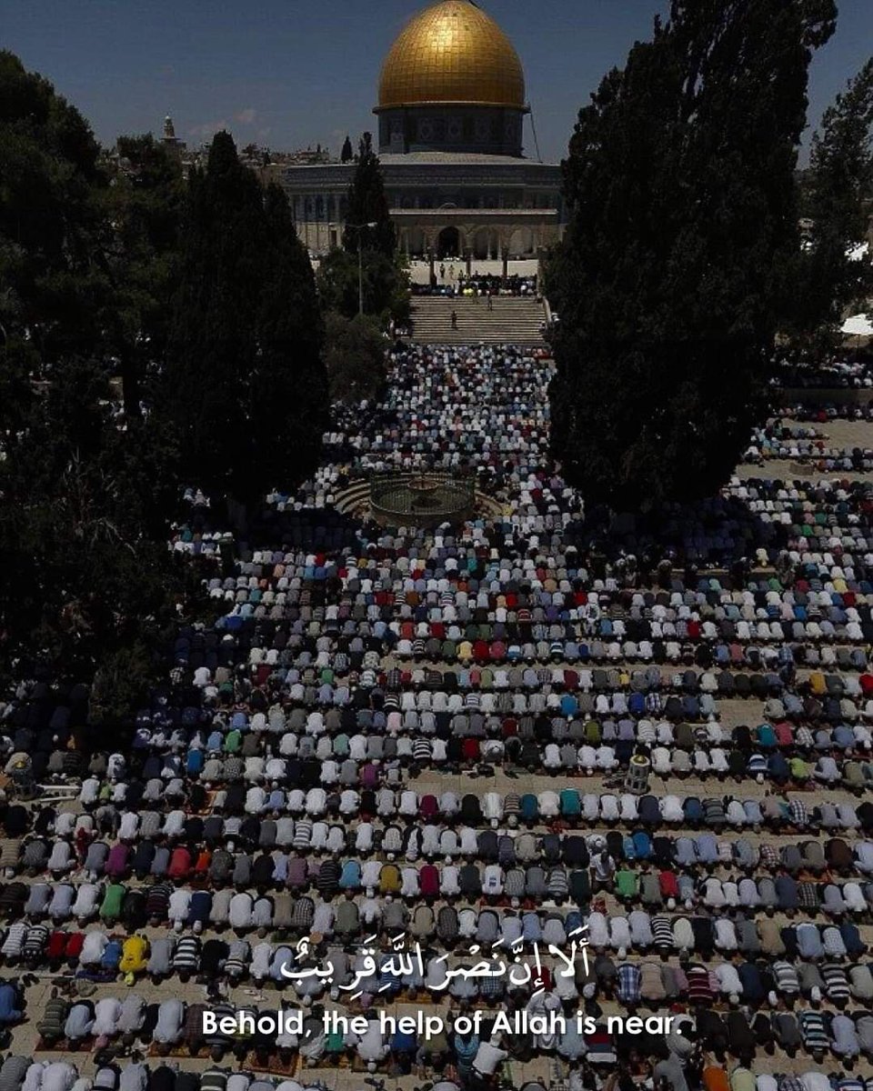 Umairhunk2's tweet photo. This Verse gave me goosebumps 🇵🇸♥️ https://t.co/ko7TfSxCxc