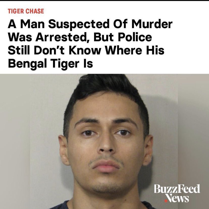 Meich_D's tweet photo. Gran titular #wheresTheTiger? https://t.co/Vk7jvxxvhE