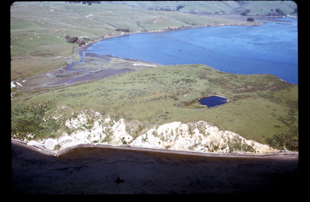 If you're a birder, here is a rare opportunity to birdwatch Tom's Point in Tomales Bay: goldengateaudubon.org/blog-posts/tom… It is a great time of year, and you're supporting @GGAudubon