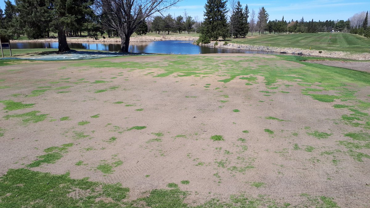 SuperPiperTBay's tweet photo. Digging through the archives @Golf_FWCC this day in 2018 on 12 green. #ice #damage #badwinter https://t.co/8kWTVn6U8F