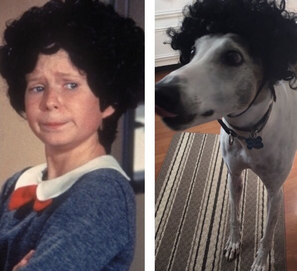 cindywalsh1990's tweet photo. That time he shamelessly stole Jan's look #WasAnAmazingTransformation https://t.co/dW1o8snxHg