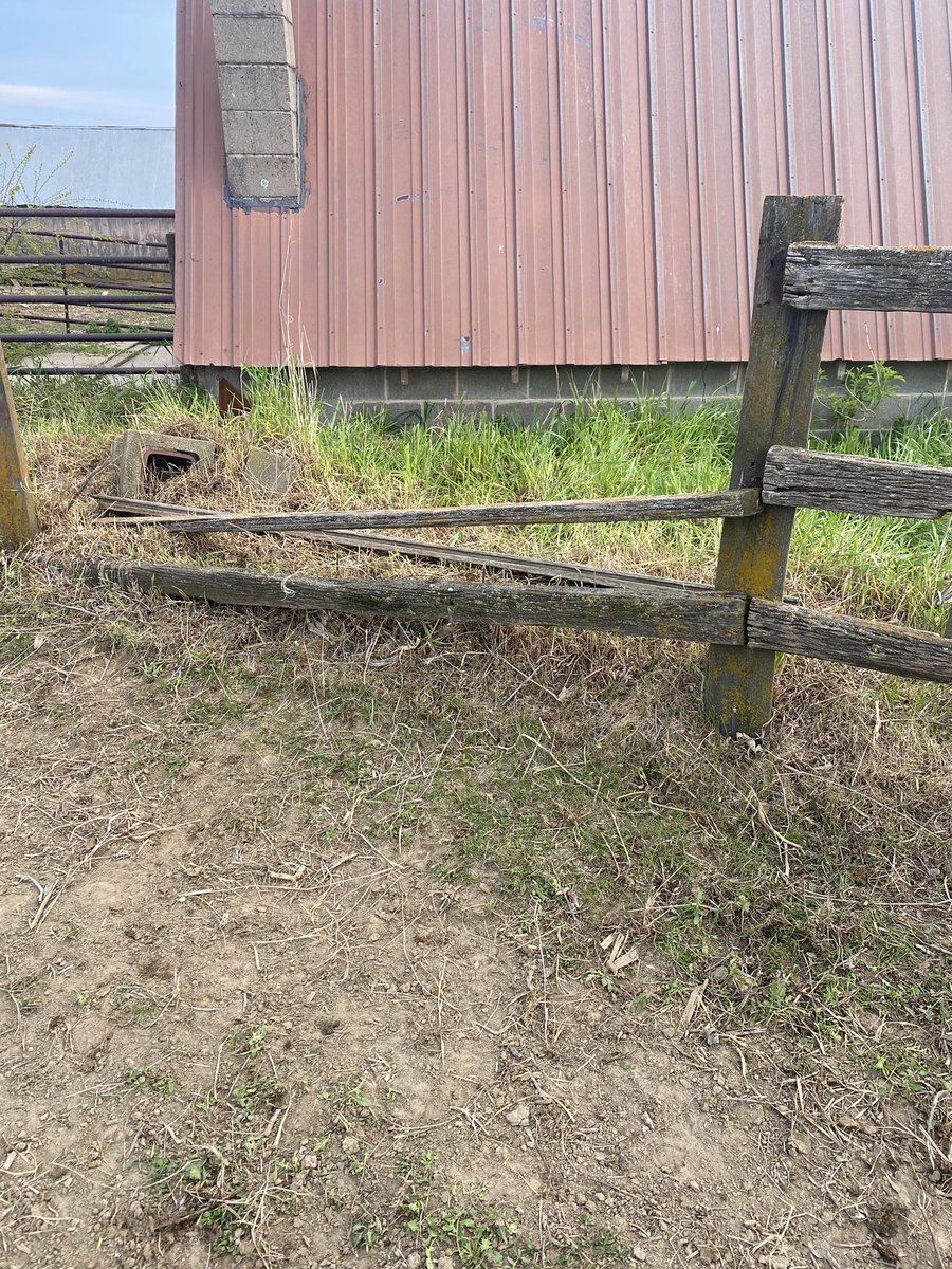 I’m not sure how anything gets out around here.