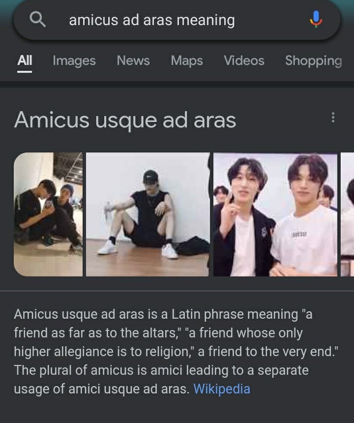 Meaning amicus ad aras