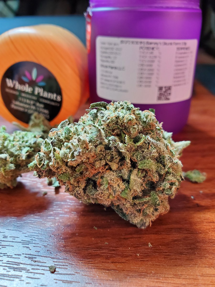 bud_ease_'s tweet photo. BIG BUG ALERT!!! Barney's Skunk Farm eighth from @wholeplantshealth . I've always loved skunk bud and this one filled the room with that smell as soon as I opened the jar. 😍😁✌❤🌿 #pammjpatients #pammj #pamedicalmarijuana #pammjreviews #pammjpatient #mmjcommunity #mmjpatients https://t.co/UM8KabKZJc