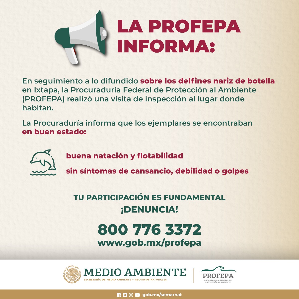 SEMARNAT México tweet media