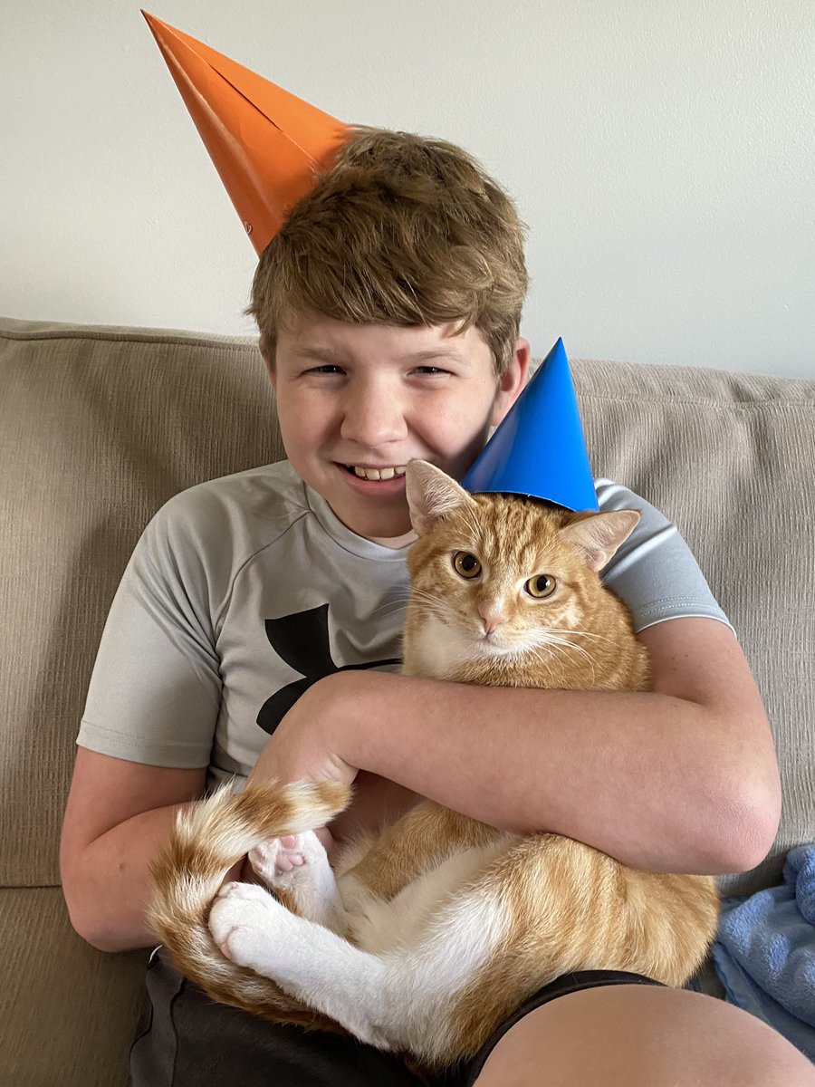 AmyGoohsHard's tweet photo. Bertram is one! Happy Birthday, #BadBert! #TherapyKitty #CoronaDiaries @KMHardman https://t.co/1lrAclkUDx