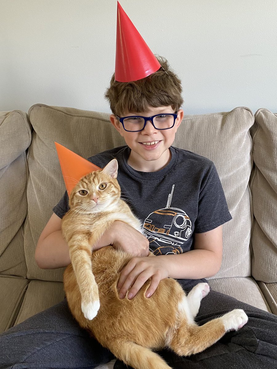 AmyGoohsHard's tweet photo. Bertram is one! Happy Birthday, #BadBert! #TherapyKitty #CoronaDiaries @KMHardman https://t.co/1lrAclkUDx