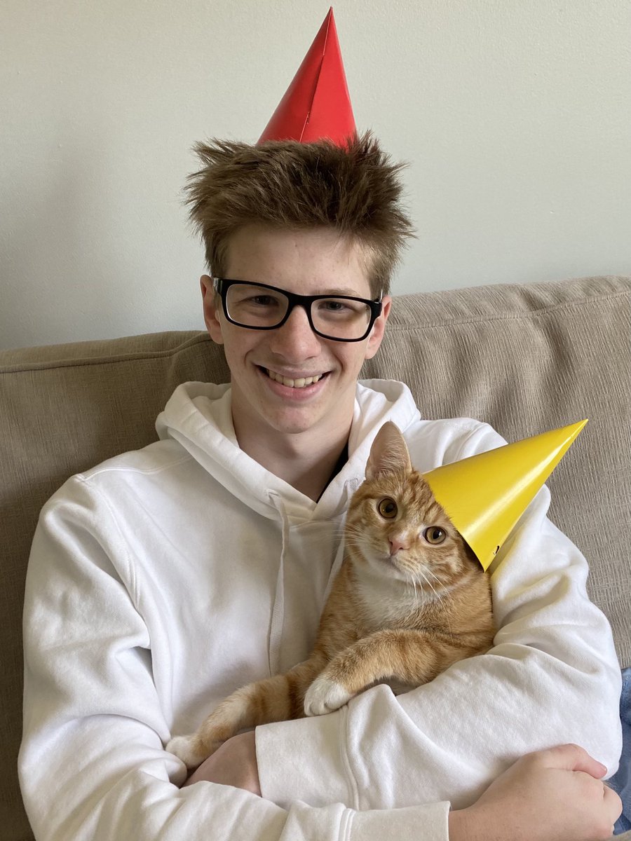 AmyGoohsHard's tweet photo. Bertram is one! Happy Birthday, #BadBert! #TherapyKitty #CoronaDiaries @KMHardman https://t.co/1lrAclkUDx
