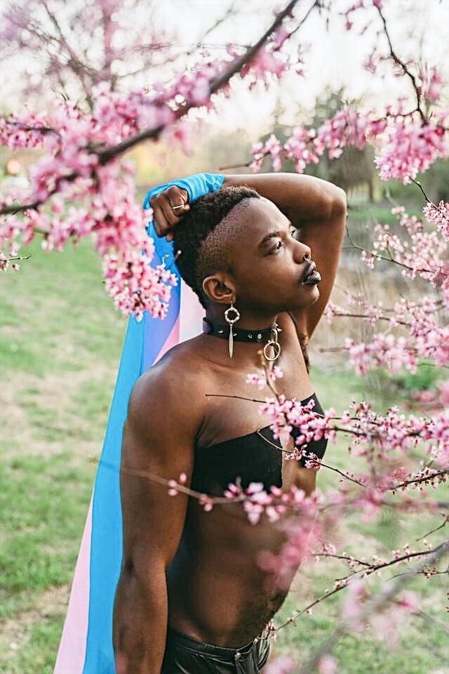#shirtlessboys #pride #pridephotoshoot #cherryblossom #CherryBlossoms #cherrybomb #trans #transgender