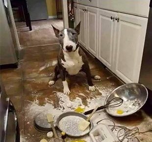AgathaChocolats's tweet photo. In six words or fewer, write a story about this photo.
#sixwordstory #WritingCommunity https://t.co/kRGfWbQ2xj