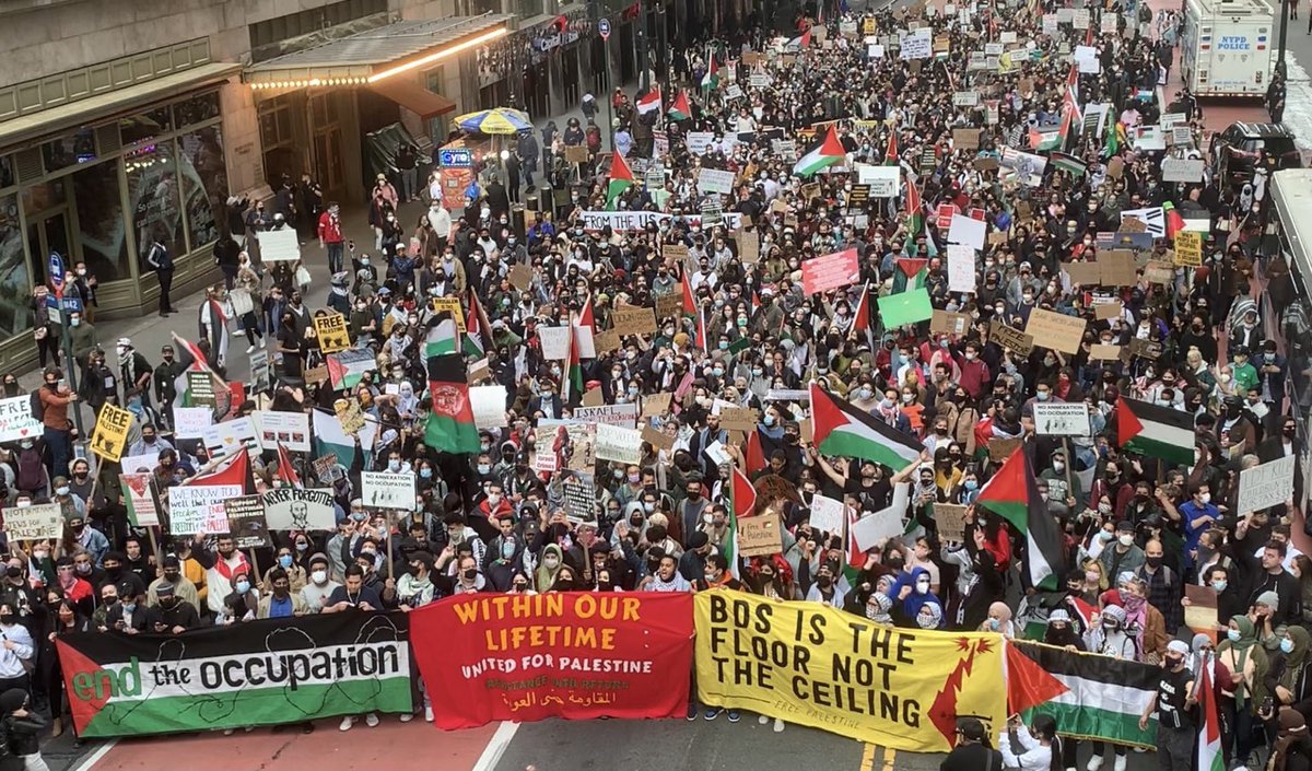 New York showed tf up for Palestine tonight