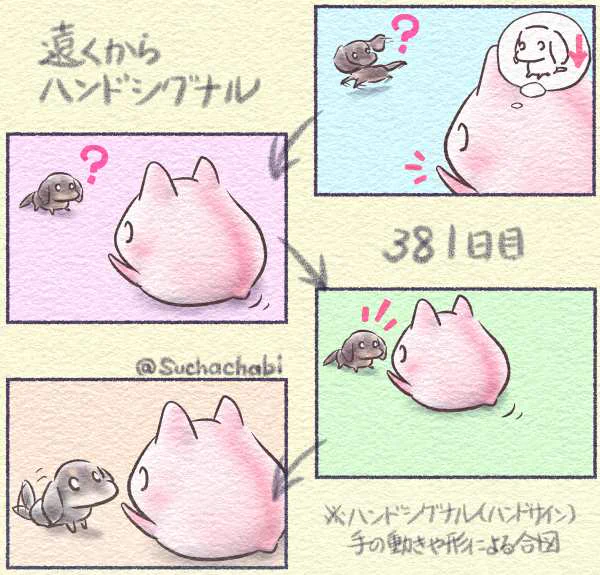 381日目 遠くからハンドシグナル
#4コマ漫画  #モフモフ 